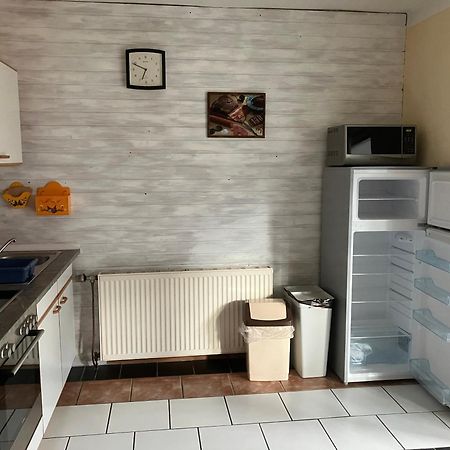 Ferienwohnung Haus Cerny Bad Goisern Dış mekan fotoğraf