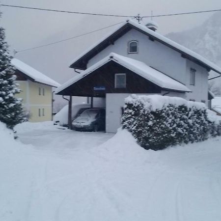 Ferienwohnung Haus Cerny Bad Goisern Dış mekan fotoğraf