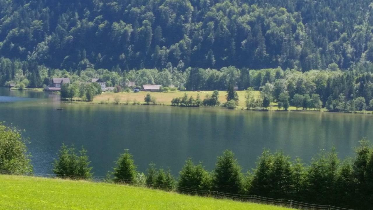 Ferienwohnung Haus Cerny Bad Goisern Dış mekan fotoğraf