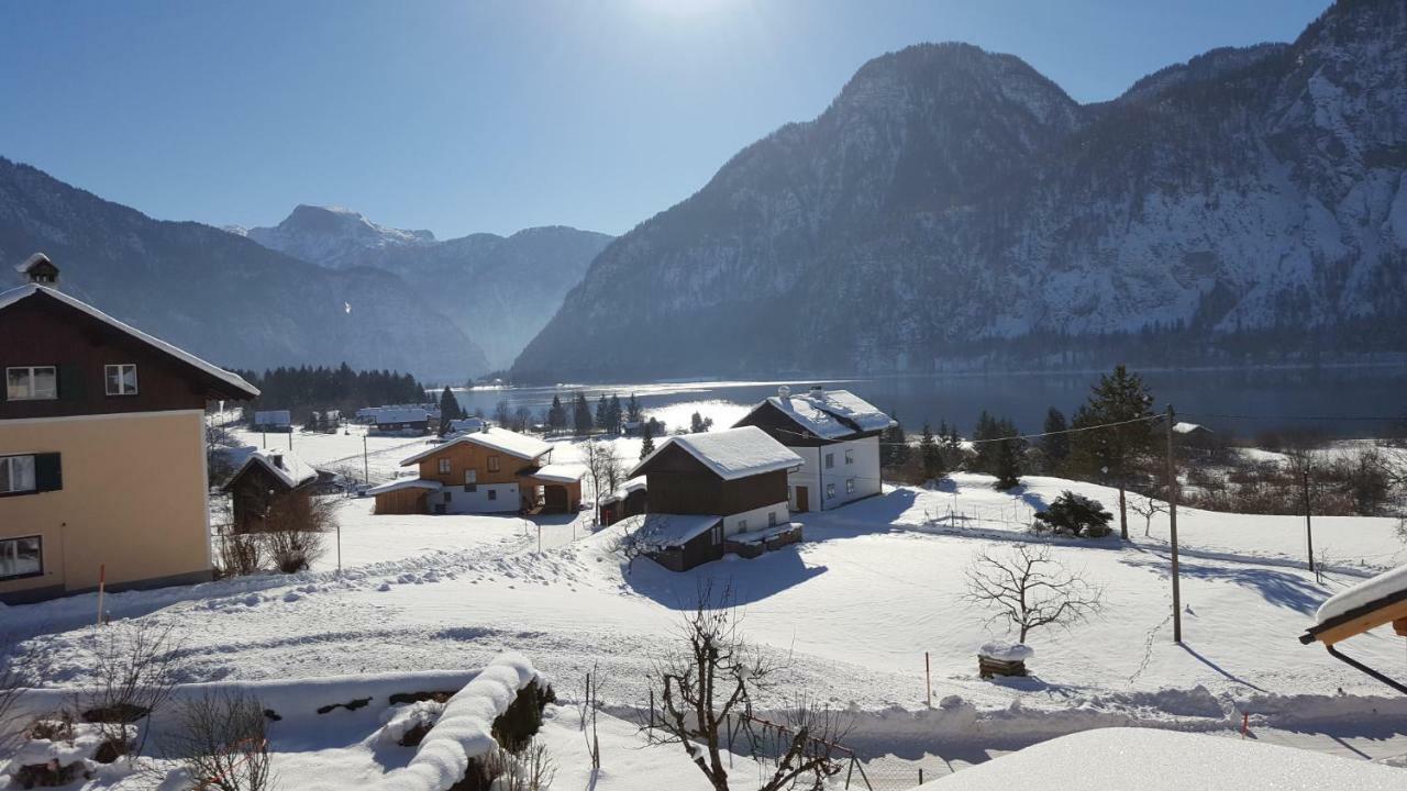 Ferienwohnung Haus Cerny Bad Goisern Dış mekan fotoğraf