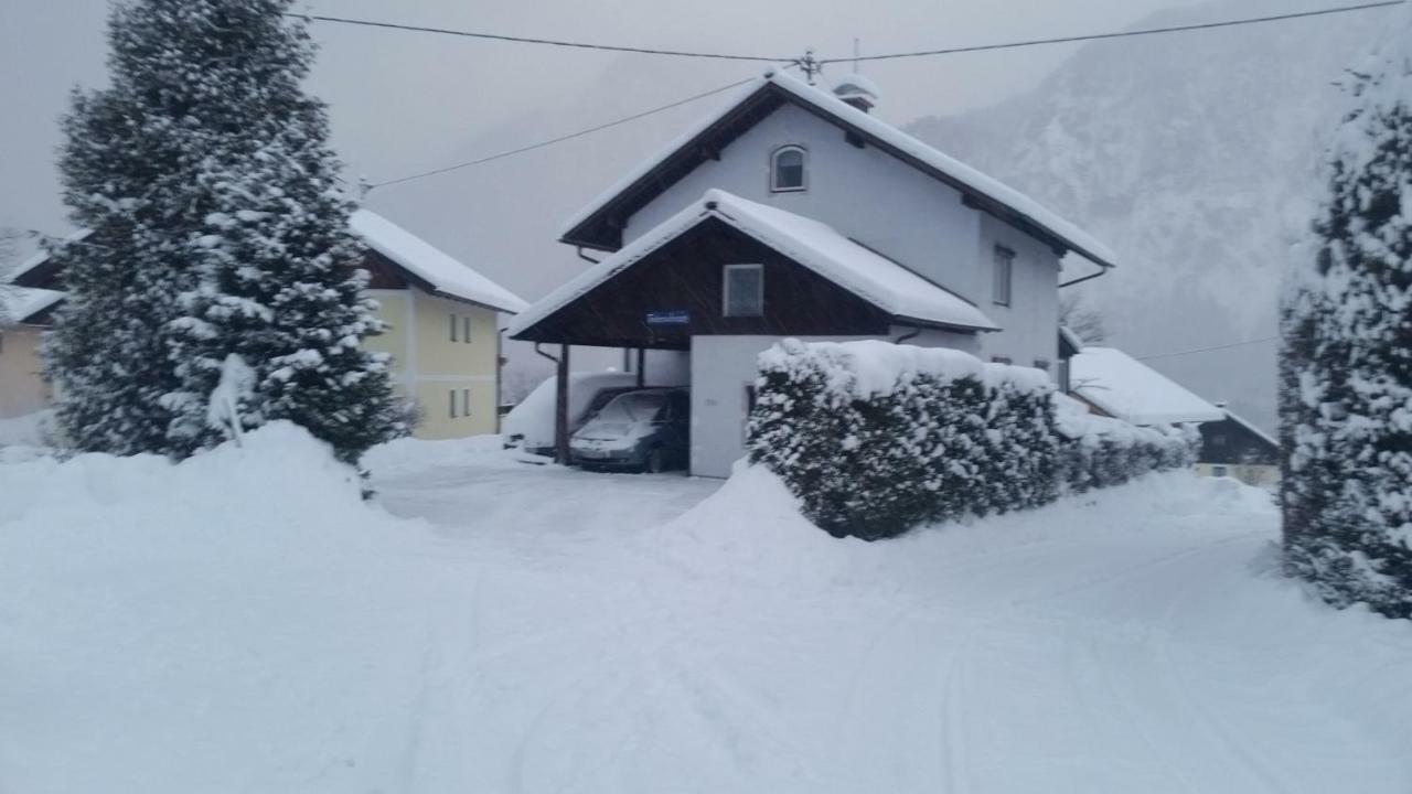 Ferienwohnung Haus Cerny Bad Goisern Dış mekan fotoğraf