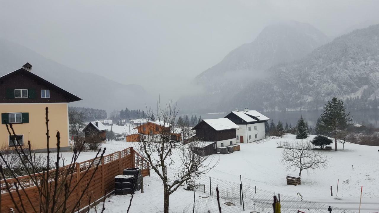 Ferienwohnung Haus Cerny Bad Goisern Dış mekan fotoğraf